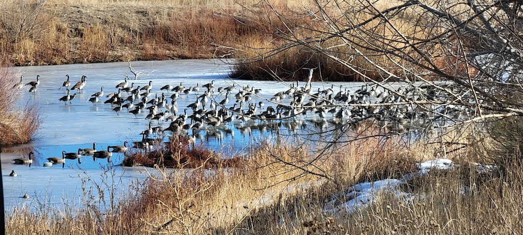 Our Moment in Time at Eagle Talon Ranch | 3900 CO-79, Bennett, CO 80102, USA | Phone: (720) 520-0093