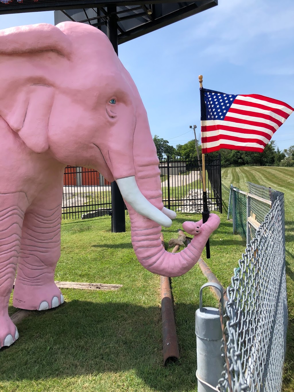 Pink Elephant | 2599 MO-141, Fenton, MO 63026, USA | Phone: (636) 343-1649