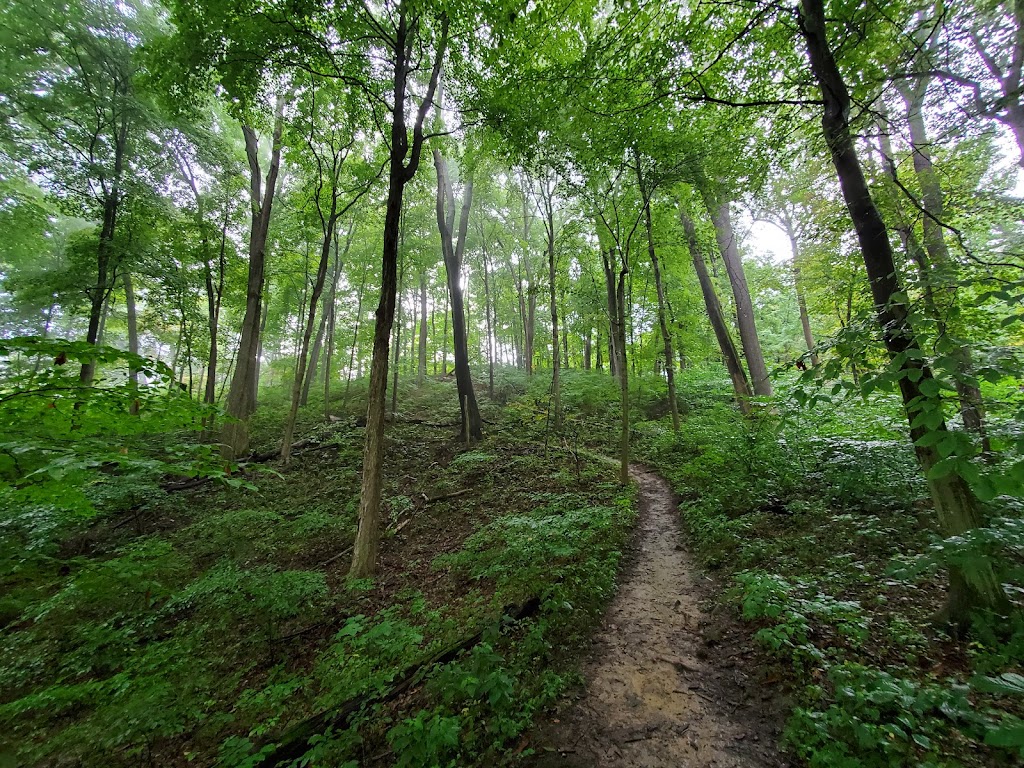 California Woods Nature Preserve | 5400 Kellogg Ave, Cincinnati, OH 45230, USA | Phone: (513) 231-8678