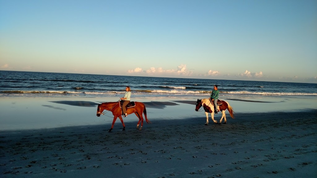 Happy Trails Walking Horses LLC | 4600 Peters Point Rd, Fernandina Beach, FL 32034, USA | Phone: (904) 557-3126