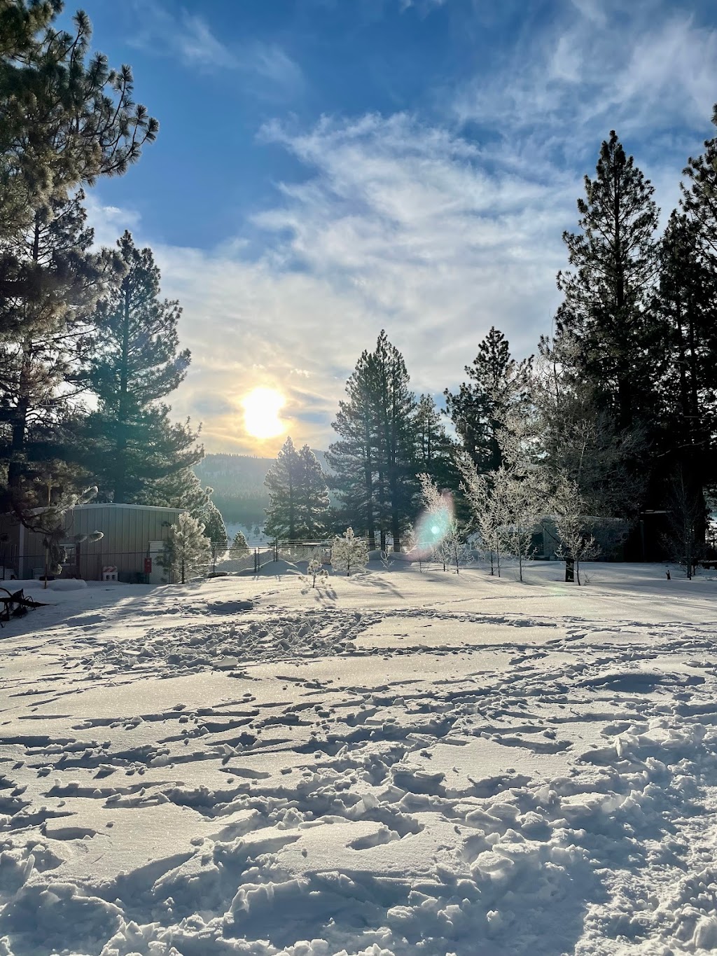 Martis Creek Campground | Alpine Meadow Camp, Truckee, CA 96161, USA | Phone: (530) 587-8113