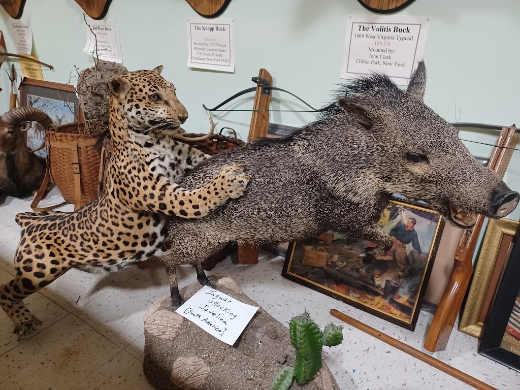 The Wildlife Sports and Educational Museum | 3747 NY-30, Amsterdam, NY 12010, USA | Phone: (518) 762-7925