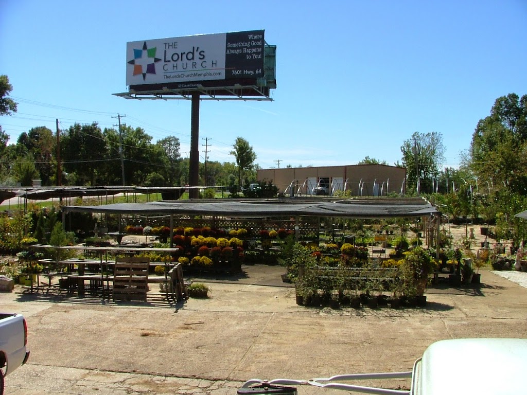 Giarolis Nursery & Landscaping | 6000 Summer Ave, Memphis, TN 38134, USA | Phone: (901) 382-5402