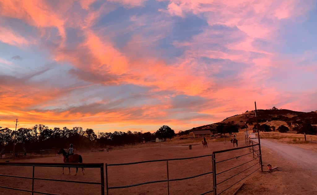 4 Horse Ranch | 2911 Patriot Way, Valley Springs, CA 95252, USA | Phone: (925) 586-5447 4 Horse Ranch | 2911 Patriot Way, Valley Springs, CA 95252, USA | Phone: (925) 586-5447