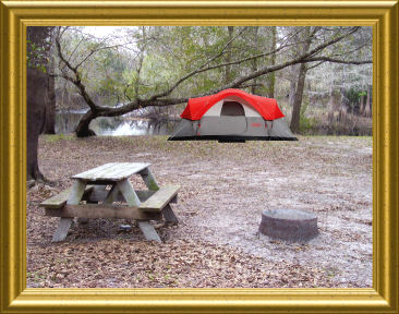 Withlacoochee River RV Park & Canoe Rental | 39847 FL-575, Dade City, FL 33523, USA | Phone: (352) 583-4778