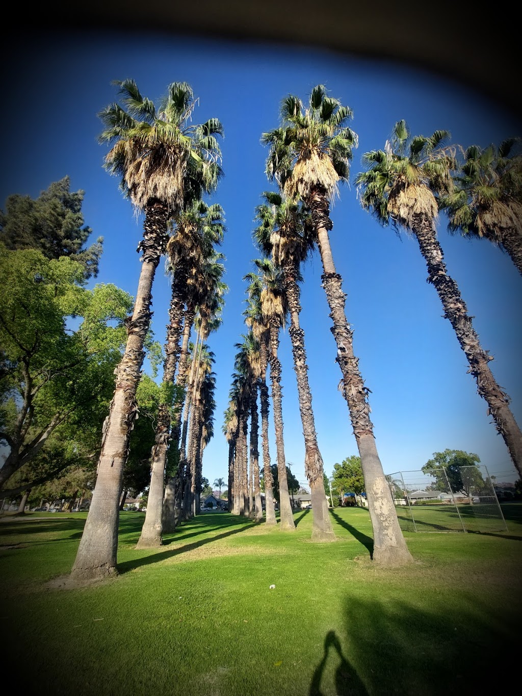 Ted Greene Park | 2105 N Orange Grove Ave, Pomona, CA 91767, USA | Phone: (909) 620-2321