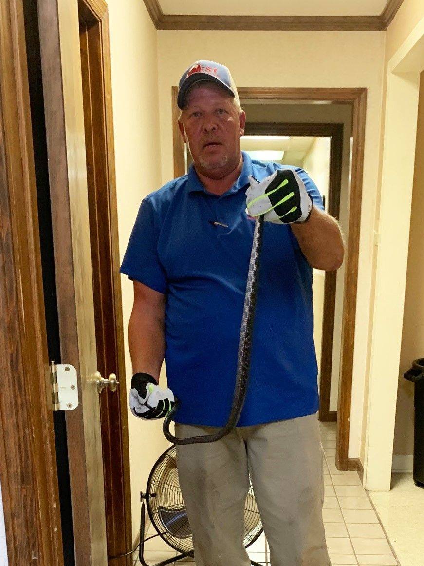 West Termite, Pest & Lawn | 3908 Minnesota St, Bartlesville, OK 74006, USA | Phone: (918) 336-5296