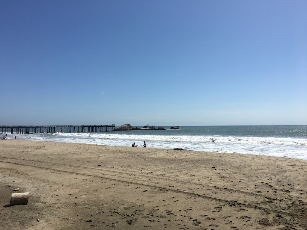 New Brighton State Beach | 1500 Park Ave, Capitola, CA 95010, USA | Phone: (831) 464-6329