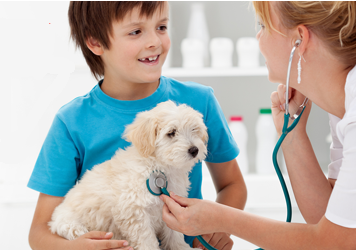 West Covina Pet Hospital | 1823 W San Bernardino Rd, West Covina, CA 91790, USA | Phone: (626) 337-2023