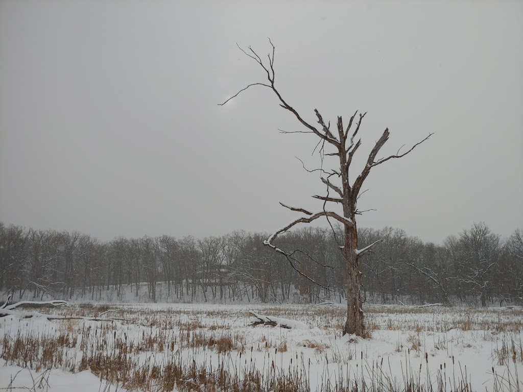 Marget Lake State Wildlife Management Area | Isanti, MN 55040, USA | Phone: (651) 296-6157