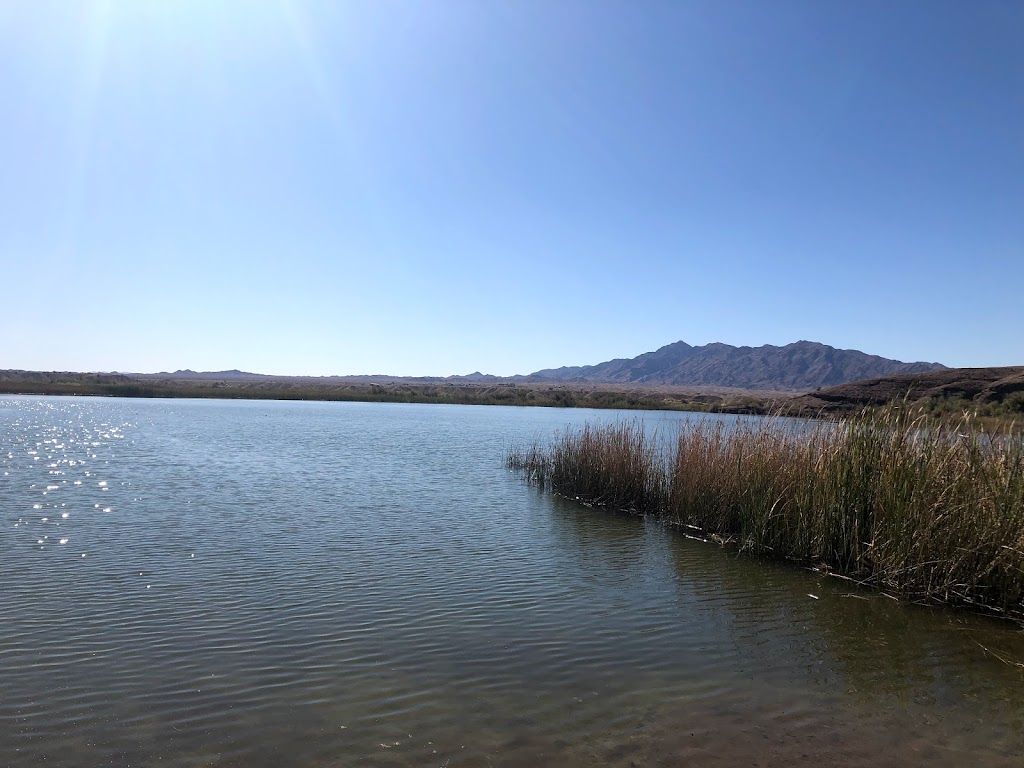 Castle Mountains National Monument | Barstow, CA 92311, USA | Phone: (760) 252-6100