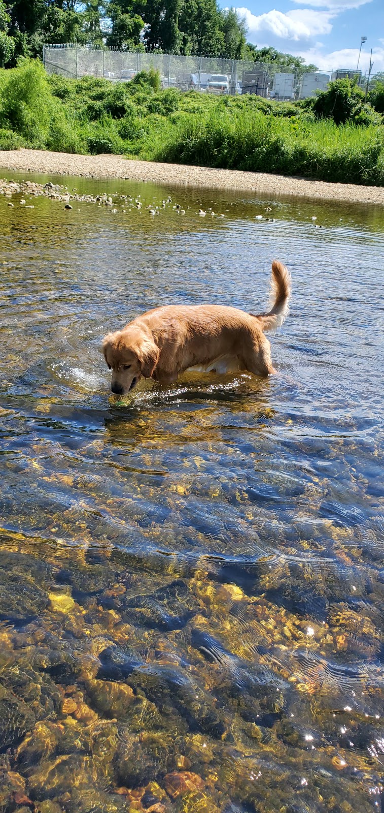 Clermont Natural Park | 4551 Eisenhower Ave, Alexandria, VA 22304, USA | Phone: (703) 746-4343