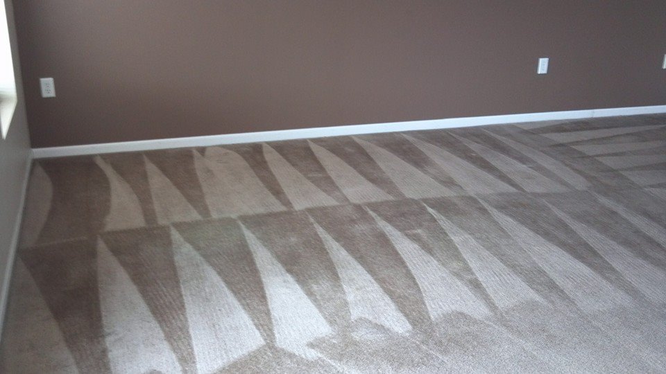 Northwoods Carpet & Tile Cleaning Pros | 7017 147th St W, Savage, MN 55378, USA | Phone: (952) 300-0015