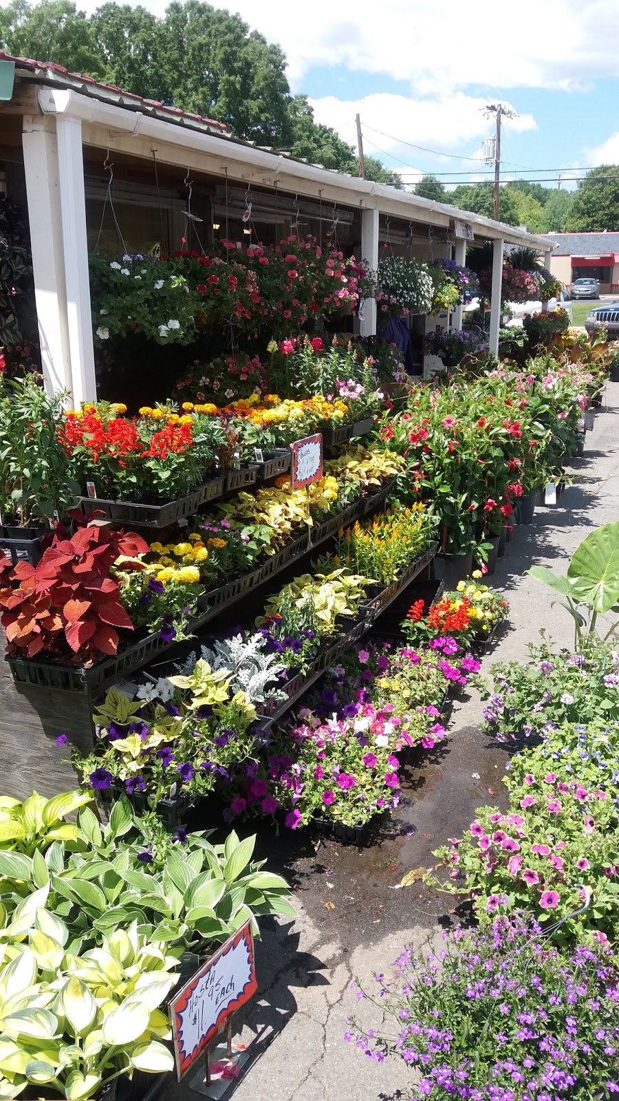 Variety Produce | 415 W Main St, Rockwell, NC 28138, USA | Phone: (704) 279-1334