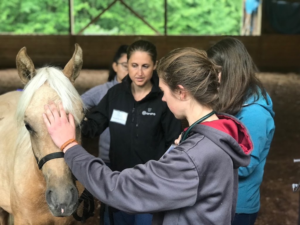 Cedarbrook Veterinary Care | 9812 215th Ave SE, Snohomish, WA 98290, USA | Phone: (360) 794-9255