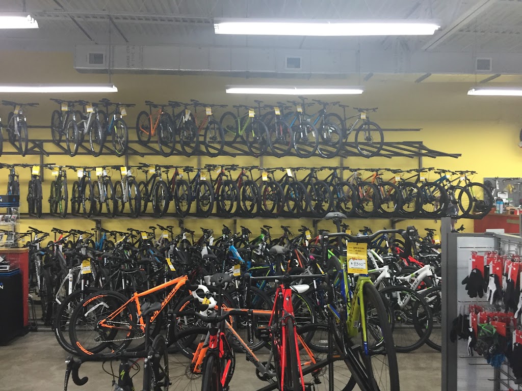 Mega Cycle | Indian Trace Center, 1390 SW 160th Ave, Sunrise, FL 33326, USA | Phone: (954) 384-0400