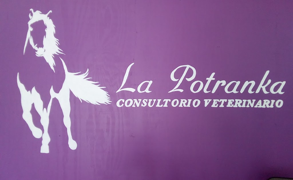 Veterinaria La Potranka - veterinary care  | Photo 3 of 4 | Address: C. Perú 1004, viveros, 88000 Nuevo Laredo, Tamps., Mexico | Phone: 867 242 6264