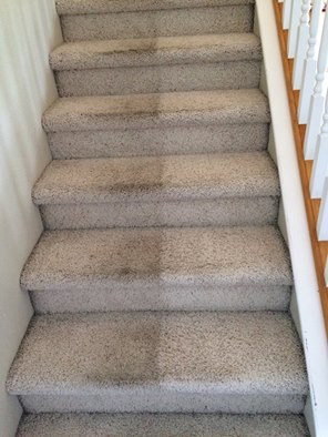 Alert Carpet Cleaning And Services LLC | 611 S State St, Nampa, ID 83686 | Phone: (208) 853-1171