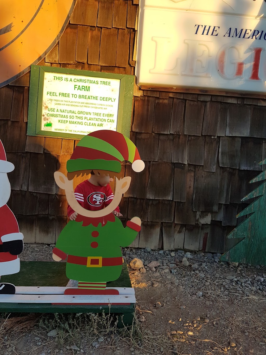 Pine Country The Martin Family | Gustine, CA 95322, USA | Phone: (209) 854-3636