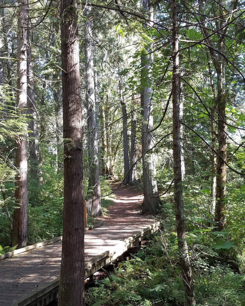 Sehmel Homestead Park | 10123 78th Ave NW, Gig Harbor, WA 98332, USA | Phone: (253) 858-3400 Sehmel Homestead Park | 10123 78th Ave NW, Gig Harbor, WA 98332, USA | Phone: (253) 858-3400
