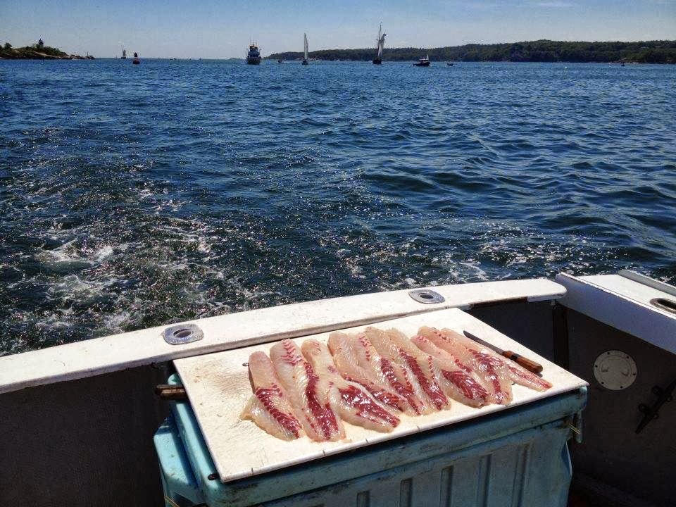 Connemara Bay Fishing Charters | 47 Crafts Road, Gloucester, MA 01930, USA | Phone: (978) 283-0197