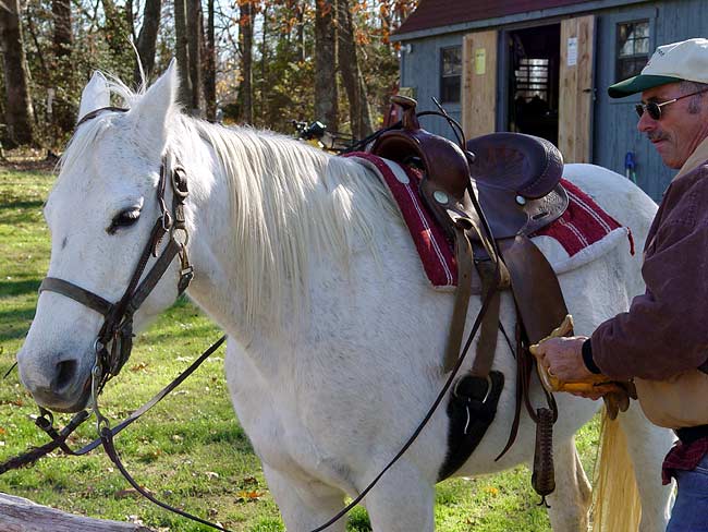 Routh Horse Ranch LLC | 3113 Routh Rd, Franklinville, NC 27248, USA | Phone: (336) 824-2670