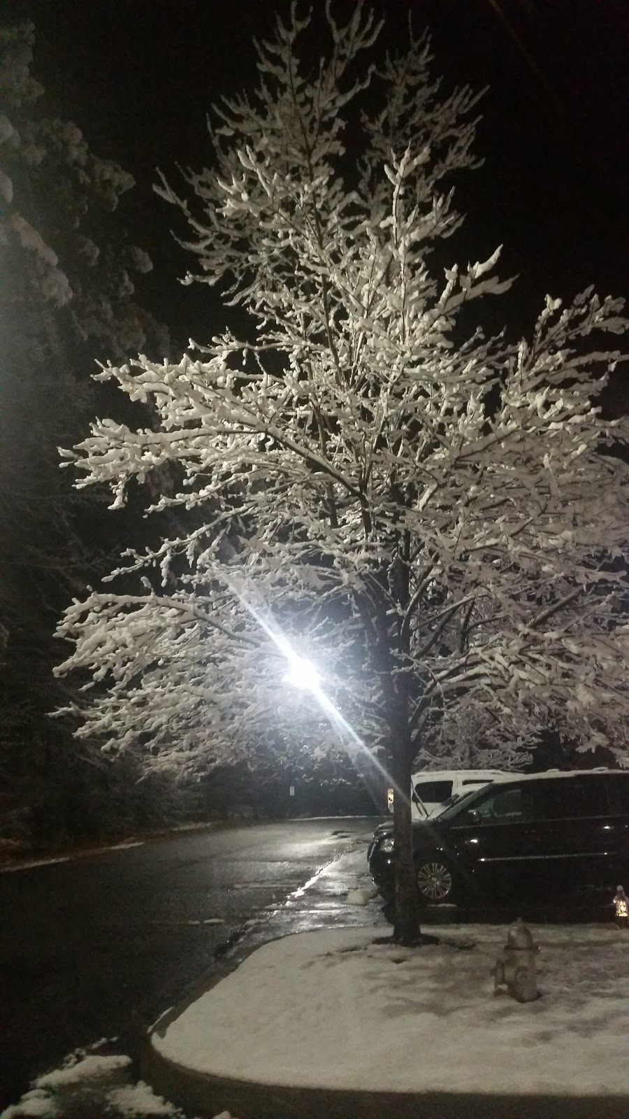 Produce Source Partners | 13167 Telcourt Rd, Ashland, VA 23005, USA | Phone: (804) 262-8300