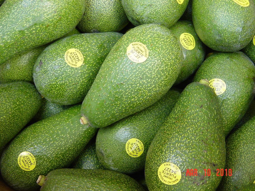 Rancho Vasquez Inc | 1703 Ranch Rd, Azusa, CA 91702, USA | Phone: (626) 334-4340