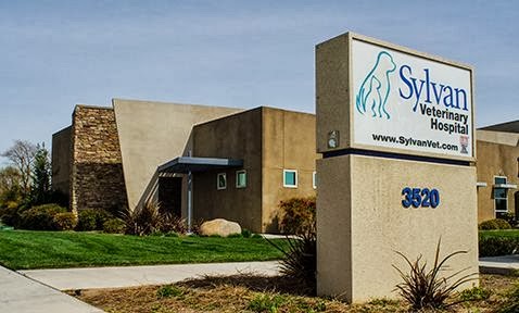 Sylvan Veterinary Hospital | 3520 Roselle Ave, Modesto, CA 95357, USA | Phone: (209) 551-4527