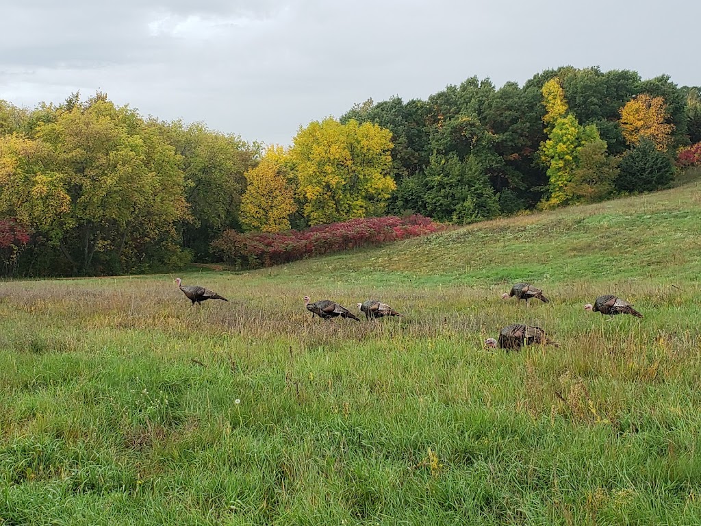 Eastman Nature Center | 13351 Elm Creek Rd, Maple Grove, MN 55369, USA | Phone: (763) 694-7700