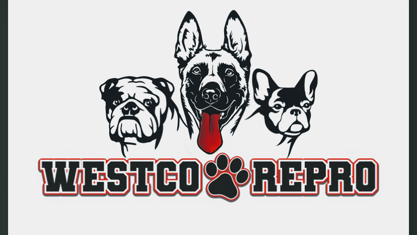 West Co Repro | 1335 W Garvey Ave N, West Covina, CA 91790, USA | Phone: (626) 324-2470