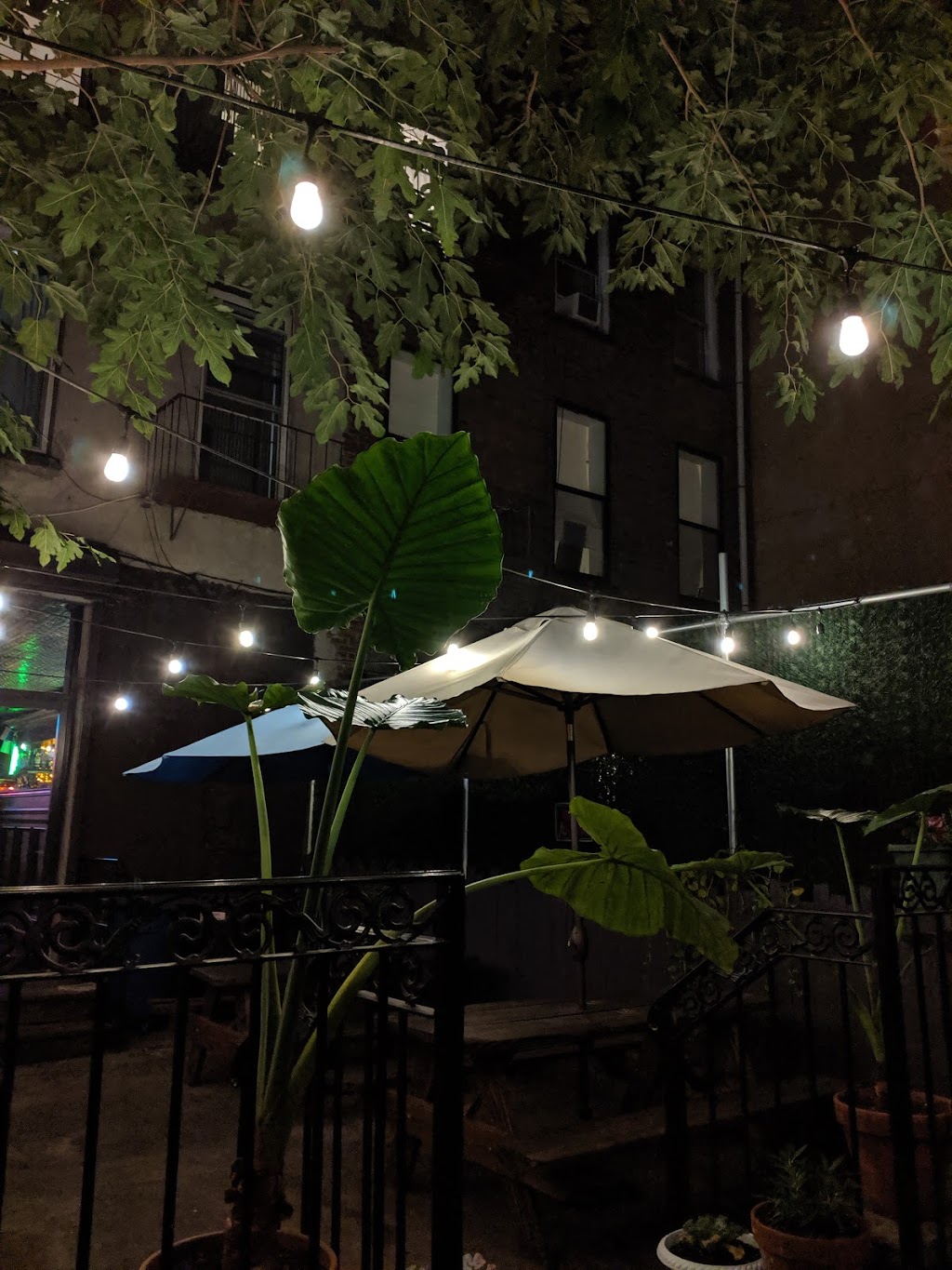 The Holler | 348 Franklin Ave, Brooklyn, NY 11238, USA | Phone: (917) 966-5723