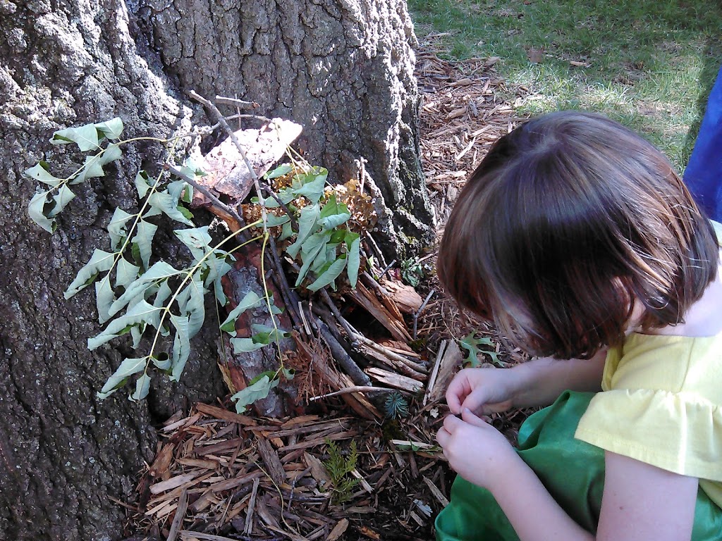 Greenhouse Nature School | E7844 Co Rd PF, North Freedom, WI 53951, USA | Phone: (608) 717-9112