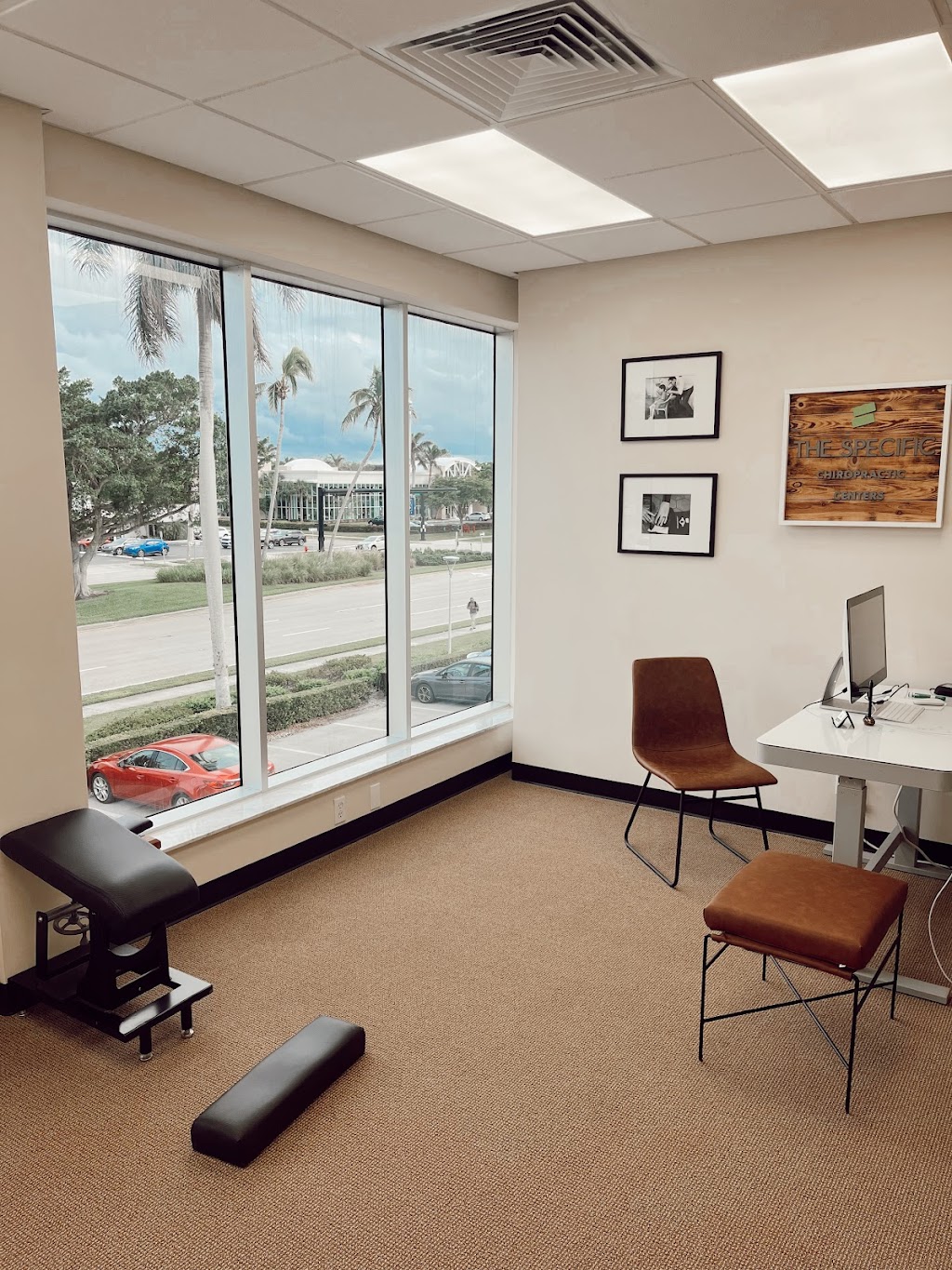 The Specific Chiropractic Centers - Naples | 3411 Tamiami Trail N #204, Naples, FL 34103, USA | Phone: (239) 610-1442