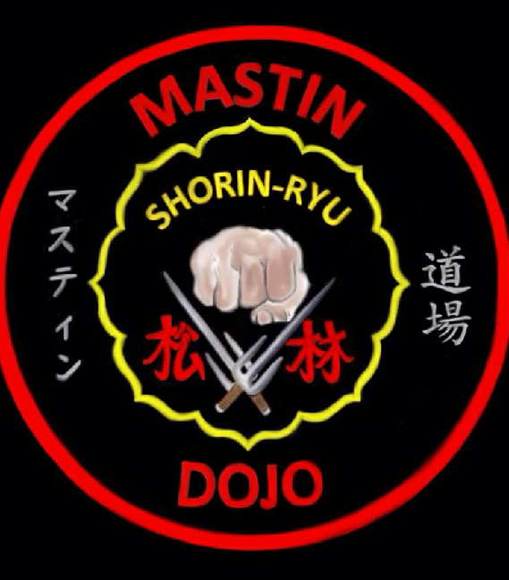 Mastins School of Martial Arts | 6931 Plainfield Rd, Cincinnati, OH 45236, USA | Phone: (513) 265-2340