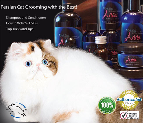 Purrinlot Persians Cat Supplies | 2008 Neville Cir suite c, Hampton, VA 23663, USA | Phone: (757) 254-1108