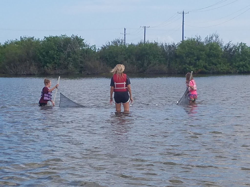 Flour Bluff Special Education | 2505 Waldron Rd, Corpus Christi, TX 78418 | Phone: (361) 694-9231