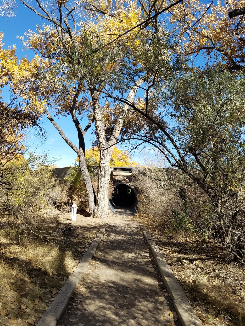 Rio Grande Nature Center State Park 2901 Candelaria Rd Nw Albuquerque Nm Usa