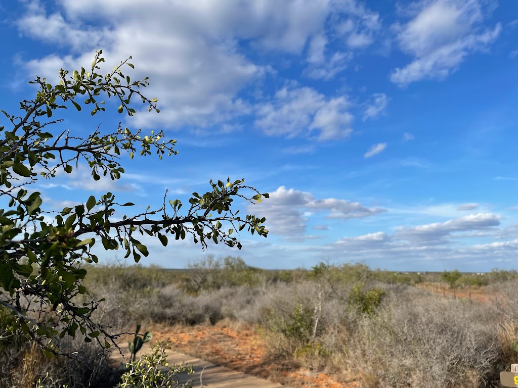 Chaparral Wildlife Management Area | 64 Chaparral WMA Dr, Cotulla, TX 78014, USA | Phone: (830) 676-3413