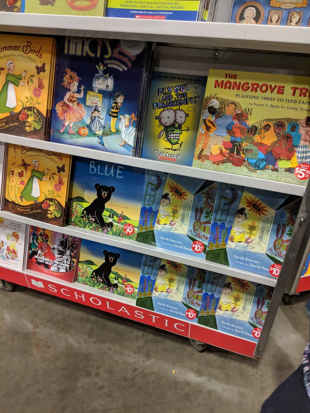 Scholastic Book Fairs | 355 High Point Rd #100, Cartersville, GA 30120, USA | Phone: (770) 425-0203