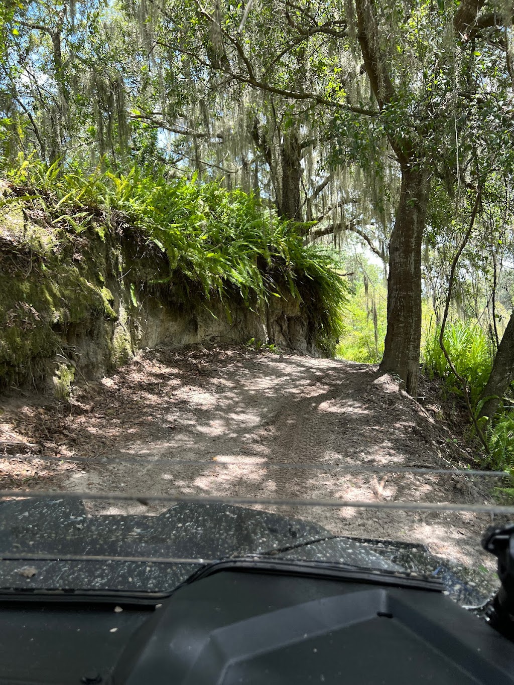 Bone Valley ATV Park | Co Rd 630, Fort Meade, FL 33841 | Phone: (863) 428-0525