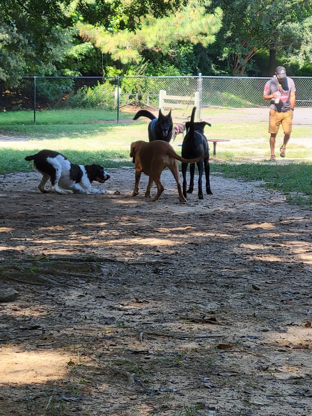 Pitner Road Dog Park | Pitner Rd NW, Acworth, GA 30101, USA | Phone: (770) 528-8890