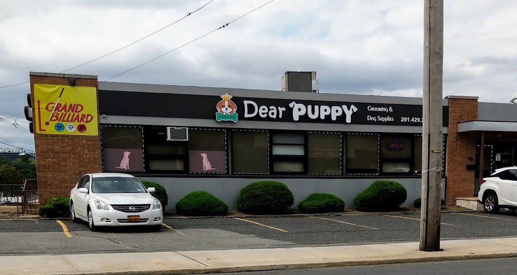 DEAR PUPPY | 61 A Grand Ave, Palisades Park, NJ 07650, USA | Phone: (201) 429-2700