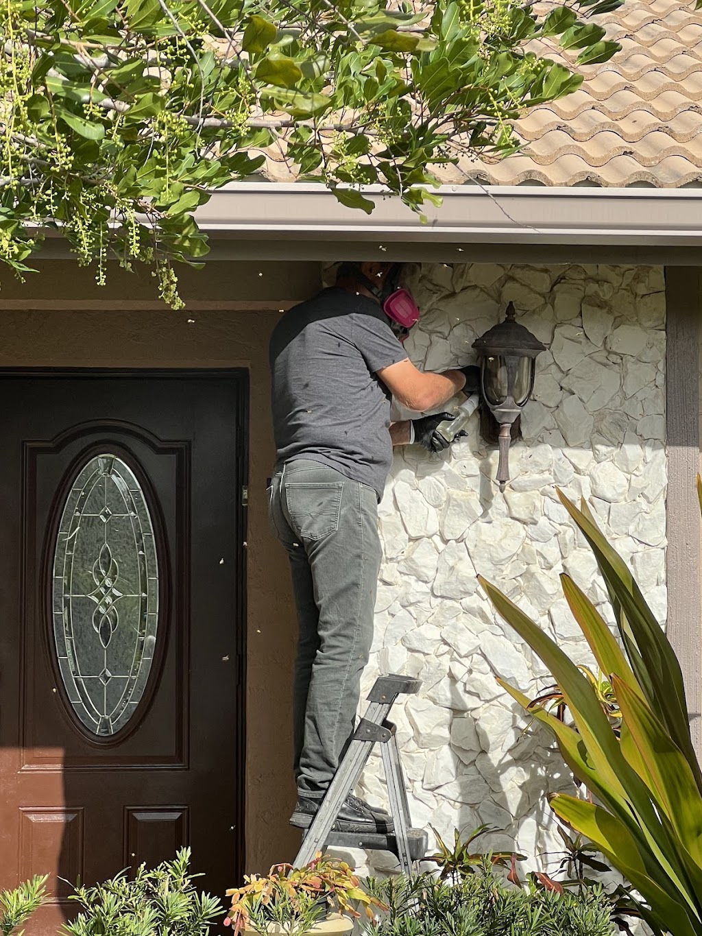 all bees removal | 11415 Earnest Blvd, Davie, FL 33325, USA | Phone: (954) 547-9951