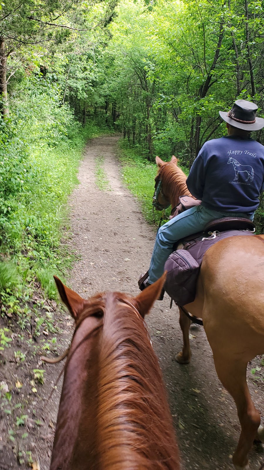 Rebecca Park Horse Lot | 8495-8933 Rebecca Park Trail, Rockford, MN 55373, USA | Phone: (763) 559-9000