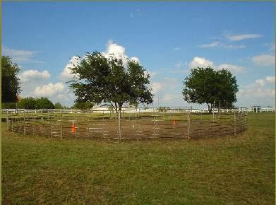 Lake Trail Stables | 5490 Rocky Creek Park Rd, Crowley, TX 76036, USA | Phone: (817) 291-8163