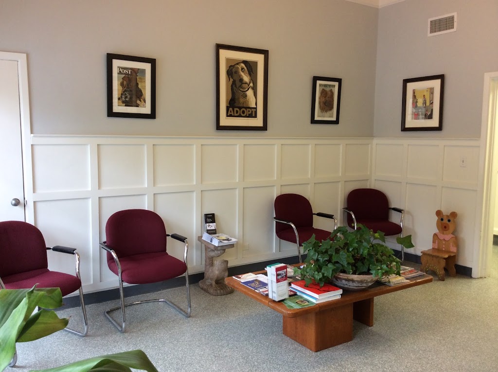 Blue Cross Animal Hospital | 530 E Putnam Ave, Greenwich, CT 06830, USA | Phone: (203) 869-7755