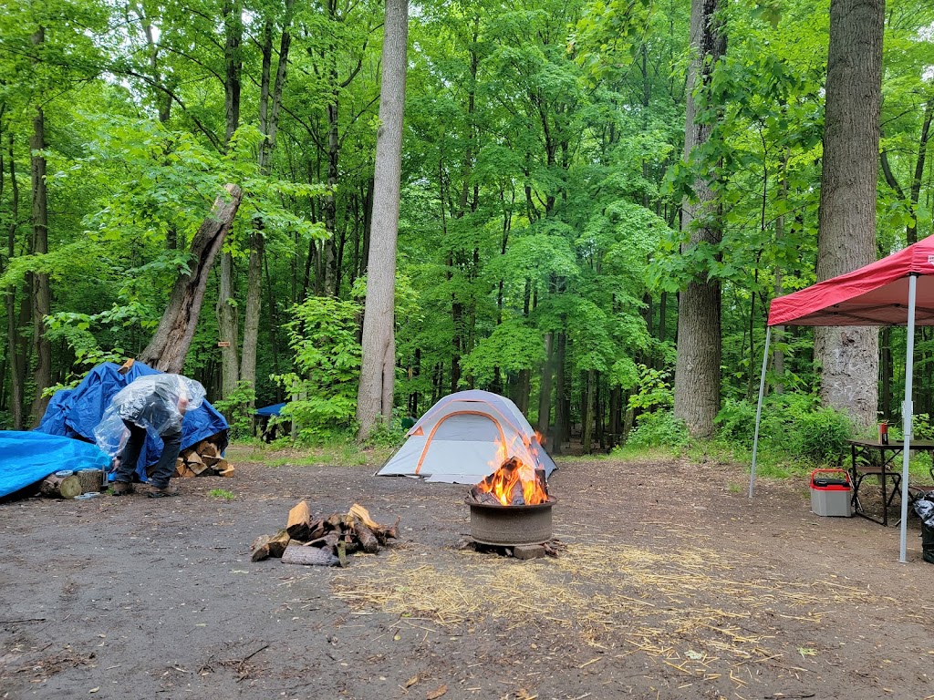 Nelson Ledges Quarry Park | 12001 Nelson Ledge Rd, Garrettsville, OH 44231, USA | Phone: (440) 548-2716