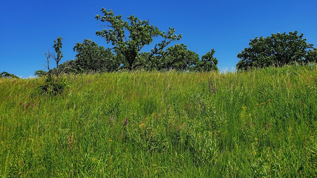 Empire Prairies Westport Drumlin State Natural Area | Waunakee, WI 53597, USA | Phone: (888) 936-7463