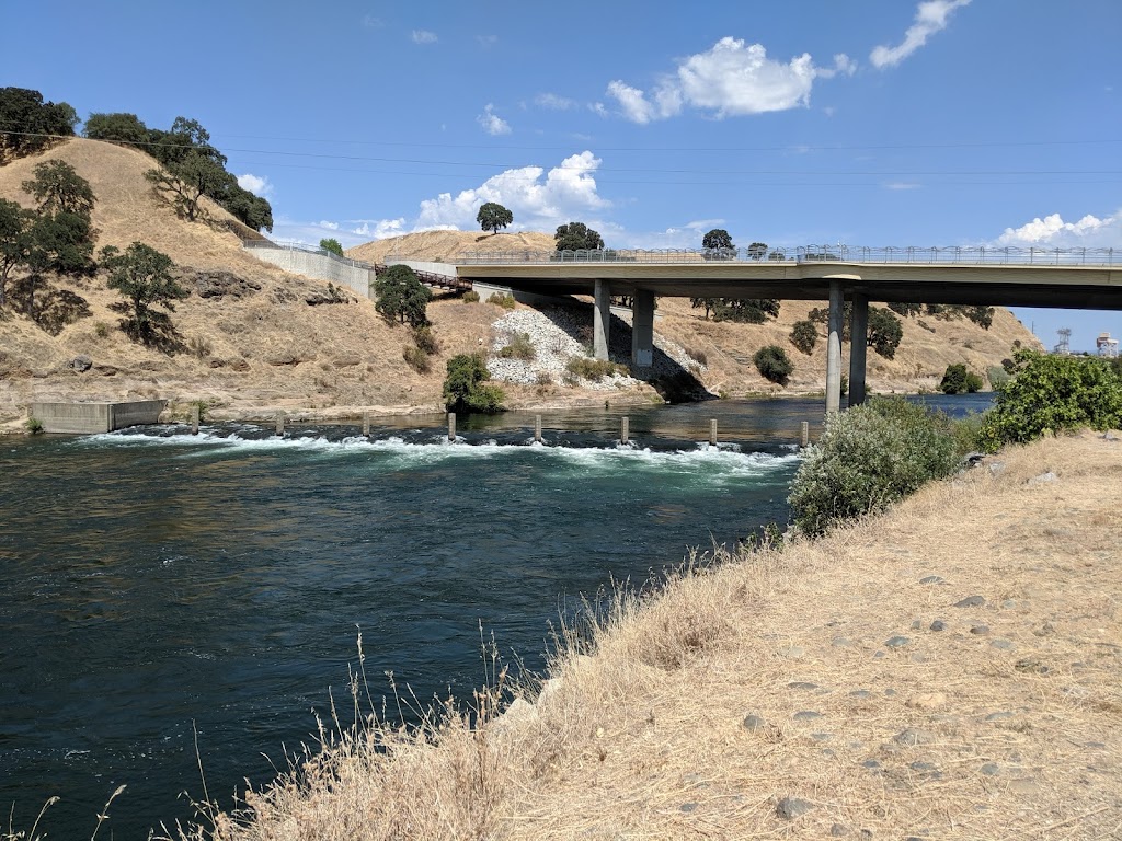 Nimbus Fish Hatchery | 2001 Nimbus Rd, Gold River, CA 95670, USA | Phone: (916) 358-2884